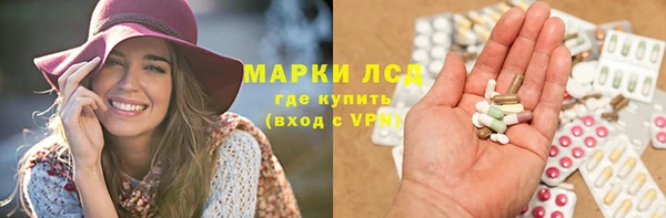 индика Бронницы